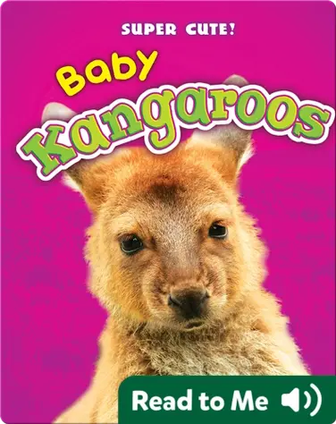 Super Cute! Baby Kangaroos book