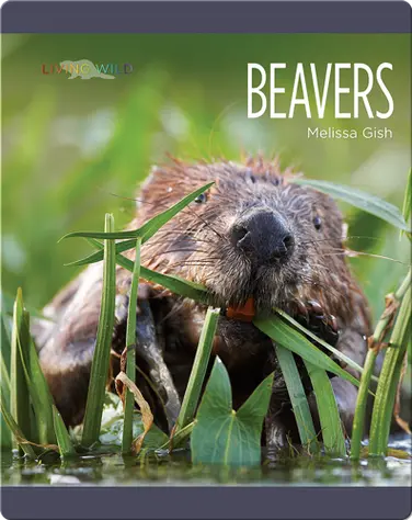 Beavers book