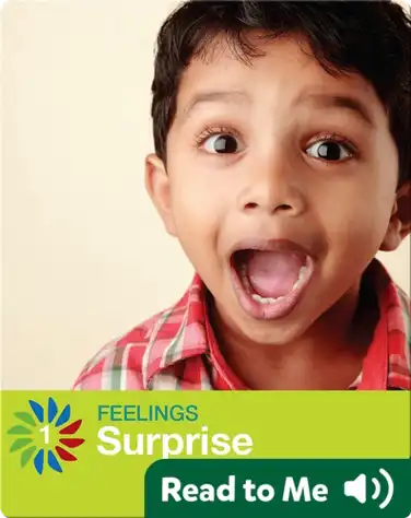 Surprise book