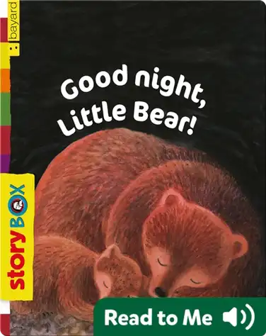 Good Night, Little Bear book