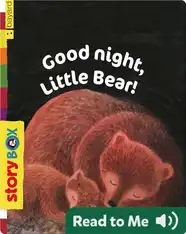Good Night, Little Bear