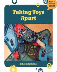 Taking Toys Apart