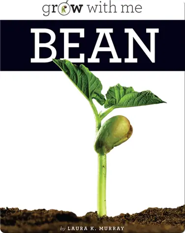 Bean book