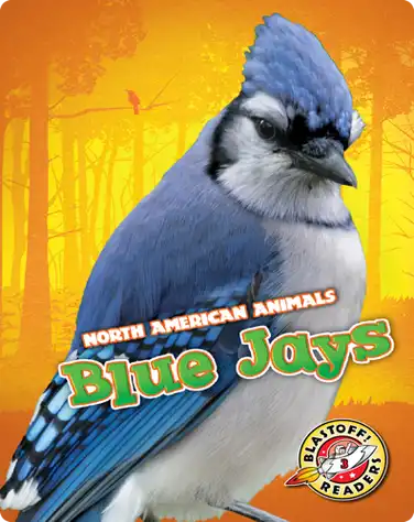 North American Animals: Blue Jays book