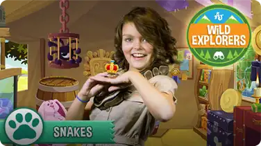 Cami Meets a Snake book