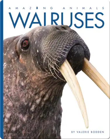 Walruses book