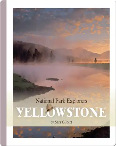 Yellowstone book