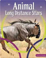 Animal Long Distance Stars
