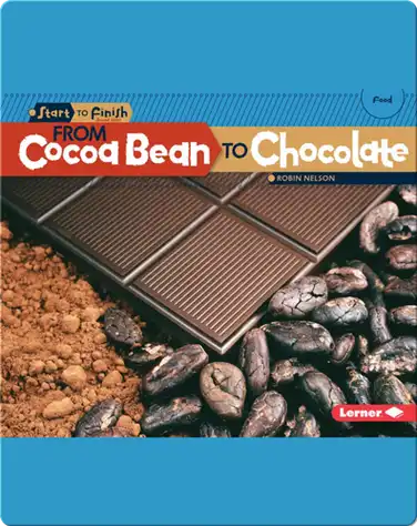 From Cocoa Bean to Chocolate book