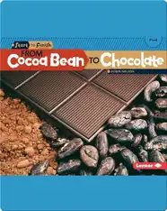 From Cocoa Bean to Chocolate