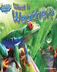 What is Weather?