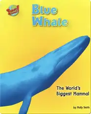 Blue Whale: The World's Biggest Mammal
