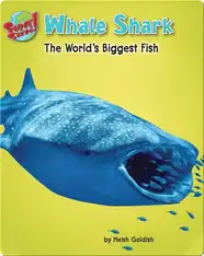 Whale Shark: The World's Biggest Fish