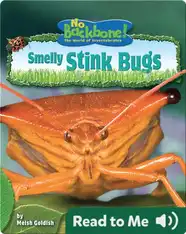 Smelly Stink Bugs