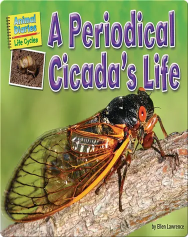 A Periodical Cicada's Life book
