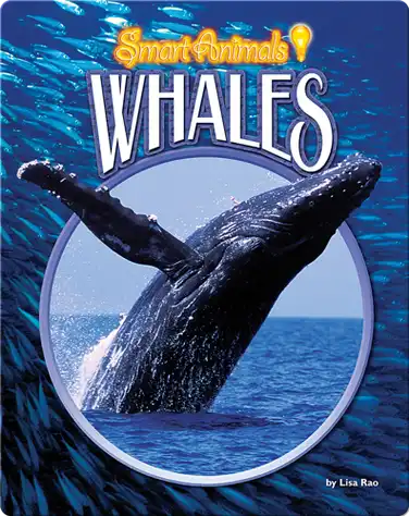 Whales book