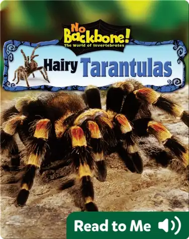 Hairy Tarantulas book