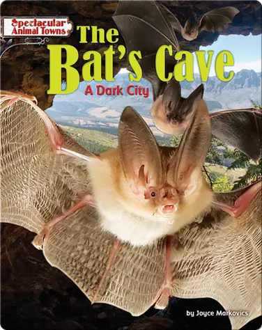The Bat's Cave: A Dark City book