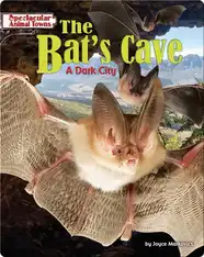 The Bat's Cave: A Dark City