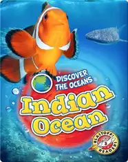 Indian Ocean