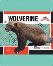 Wolverine: Powerful Predator