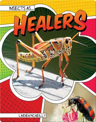 Insects as Healers book