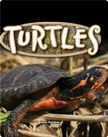 Turtles book