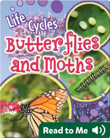 Butterflies and Moths book