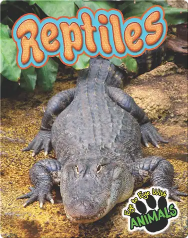 Reptiles book