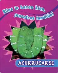 Acurrucarse