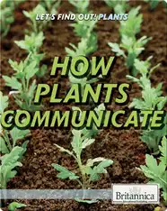 How Plants Communicate