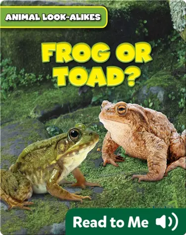 Frog or Toad? book