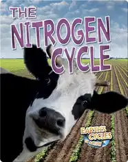 The Nitrogen Cycle