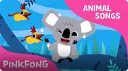 Koala Lalala (Animal Songs)