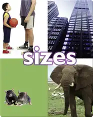 Sizes