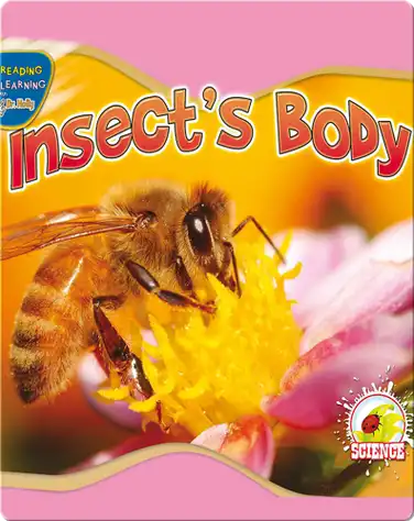 Insect's Body book