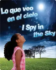 Lo Que Veo En El Cielo  (I Spy In The Sky)