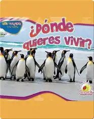 ¿Dónde Quieres Vivir? (Habitat Homes)