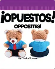 ¡Opuestos! (Opposites!)