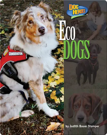 Eco Dogs book