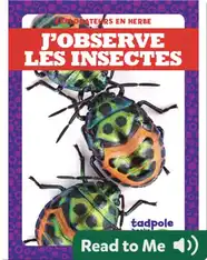 J’observe les insectes