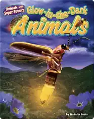 Glow-in-the-Dark Animals