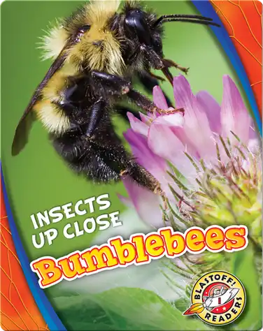 Bumblebees book
