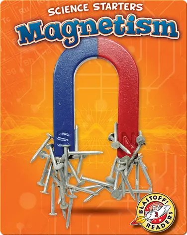 Magnetism book