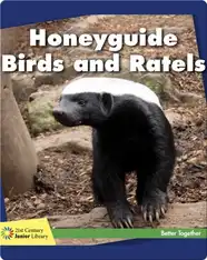 Honeyguide Birds and Ratels
