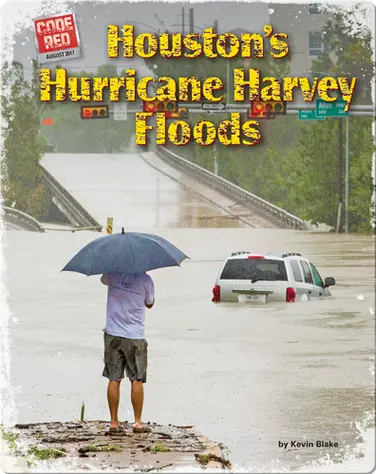 Houston's Hurricane Harvey Floods book