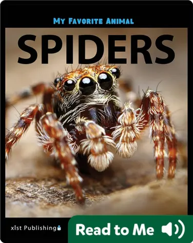 My Favorite Animal: Spiders book