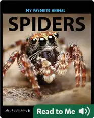 My Favorite Animal: Spiders
