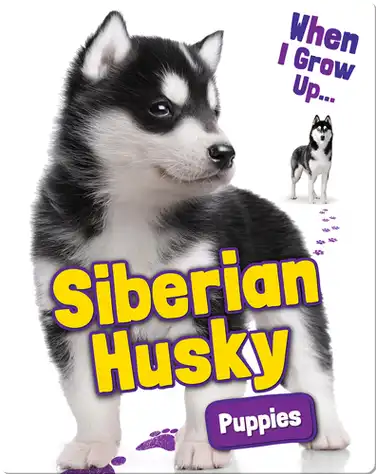 Siberian Husky Puppies book