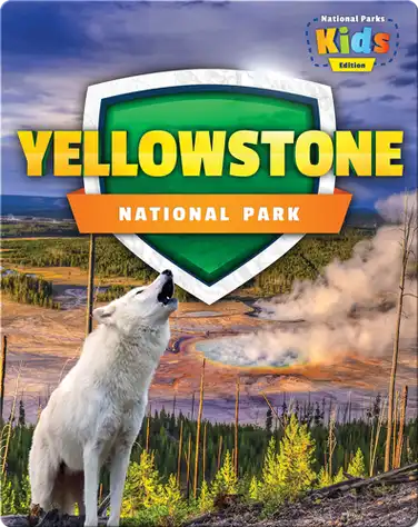 Yellowstone National Park book